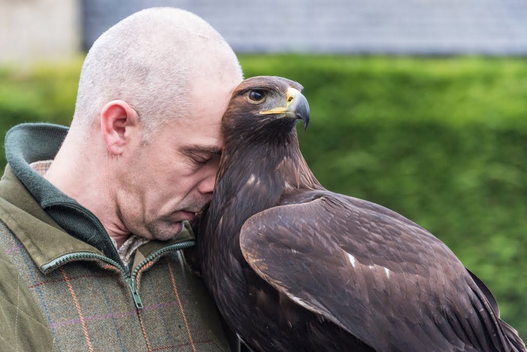 Golden and handler